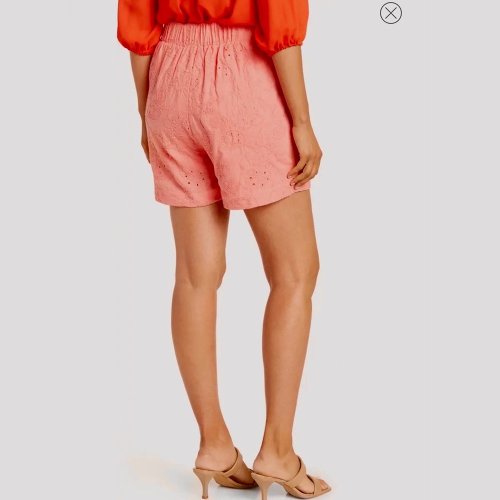 Nanette Lepore Coral, Luxury, Pull -On Embroidered Shorts, Small - Picture 4 of 16